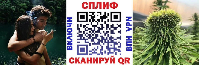 Купить  Болгар  МАРИХУАНА тримм 